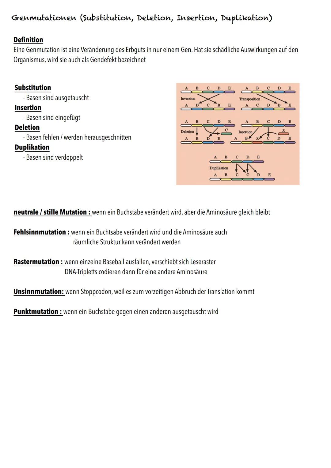 Q1
Genetik BIOLOGY Abitur Checkliste - Themenübersicht
Von der DNA zum Protein
Aufbau und Replikation der DNA: Watson-Crick-Modell (Schema),