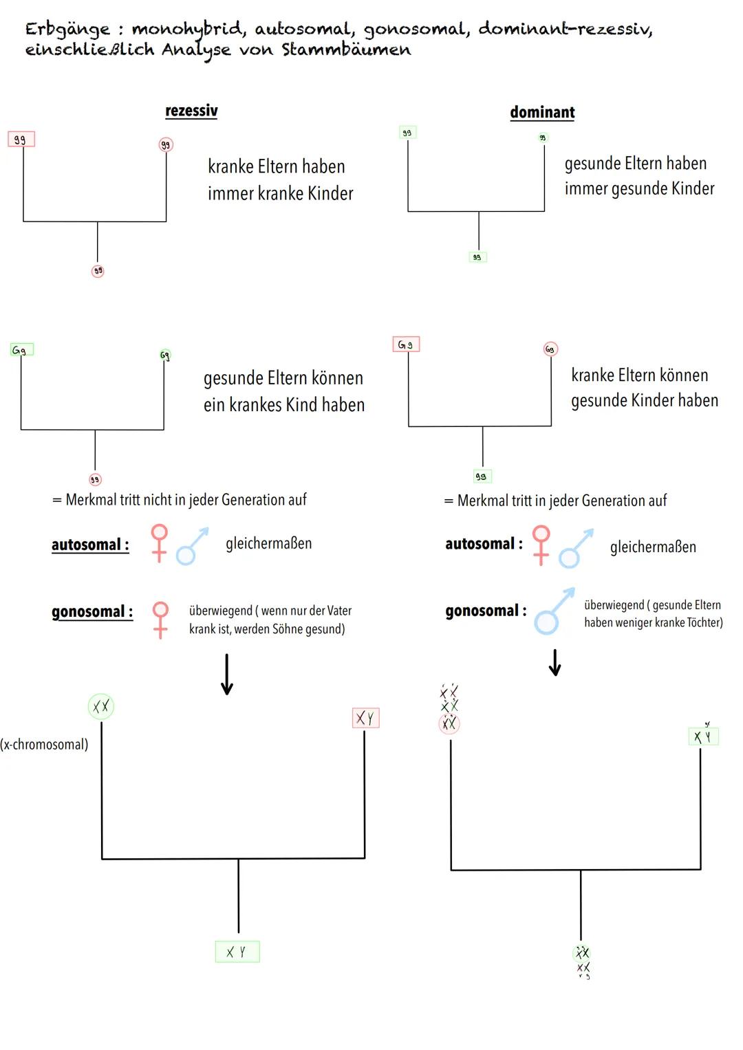 Q1
Genetik BIOLOGY Abitur Checkliste - Themenübersicht
Von der DNA zum Protein
Aufbau und Replikation der DNA: Watson-Crick-Modell (Schema),