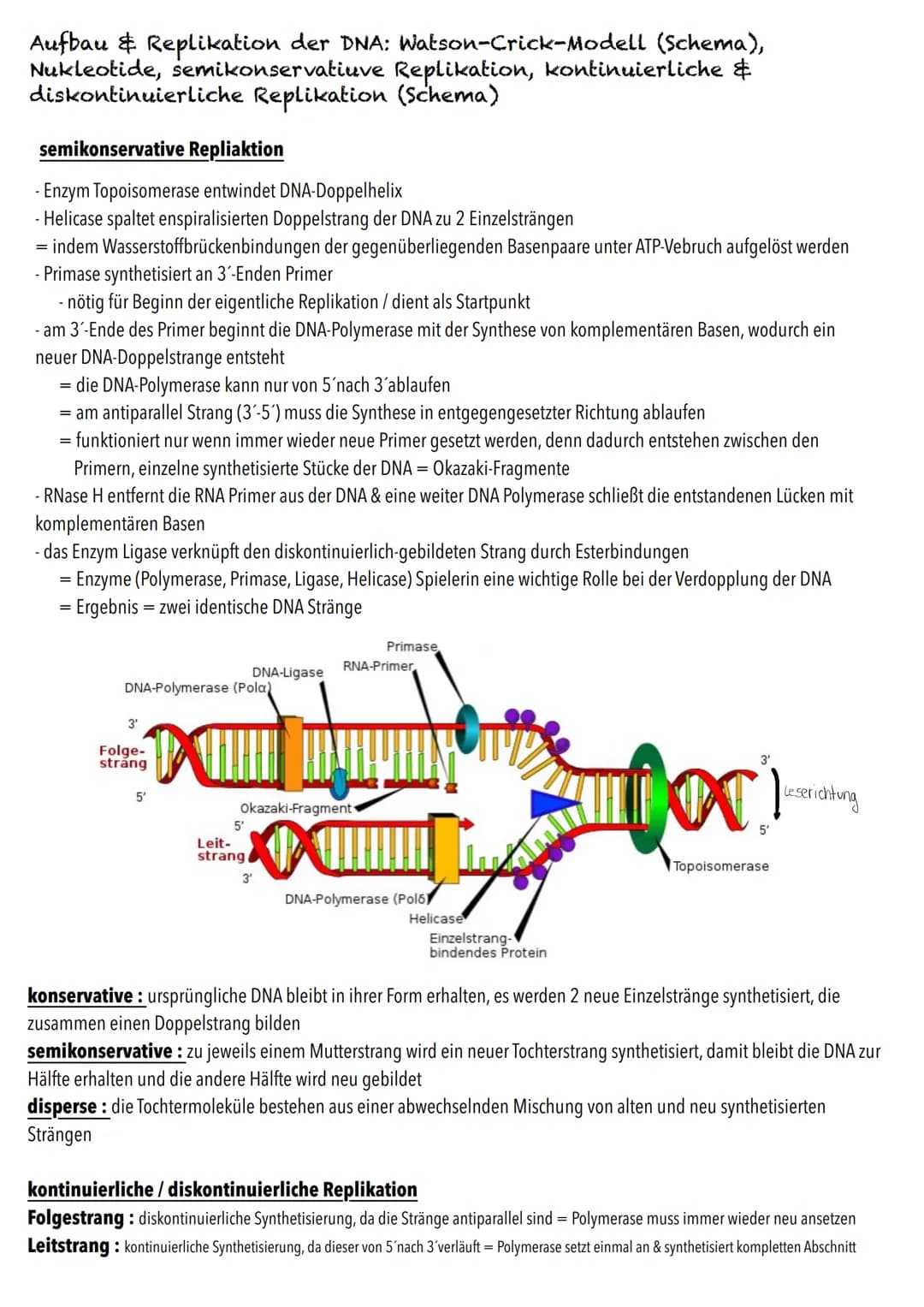 Q1
Genetik BIOLOGY Abitur Checkliste - Themenübersicht
Von der DNA zum Protein
Aufbau und Replikation der DNA: Watson-Crick-Modell (Schema),