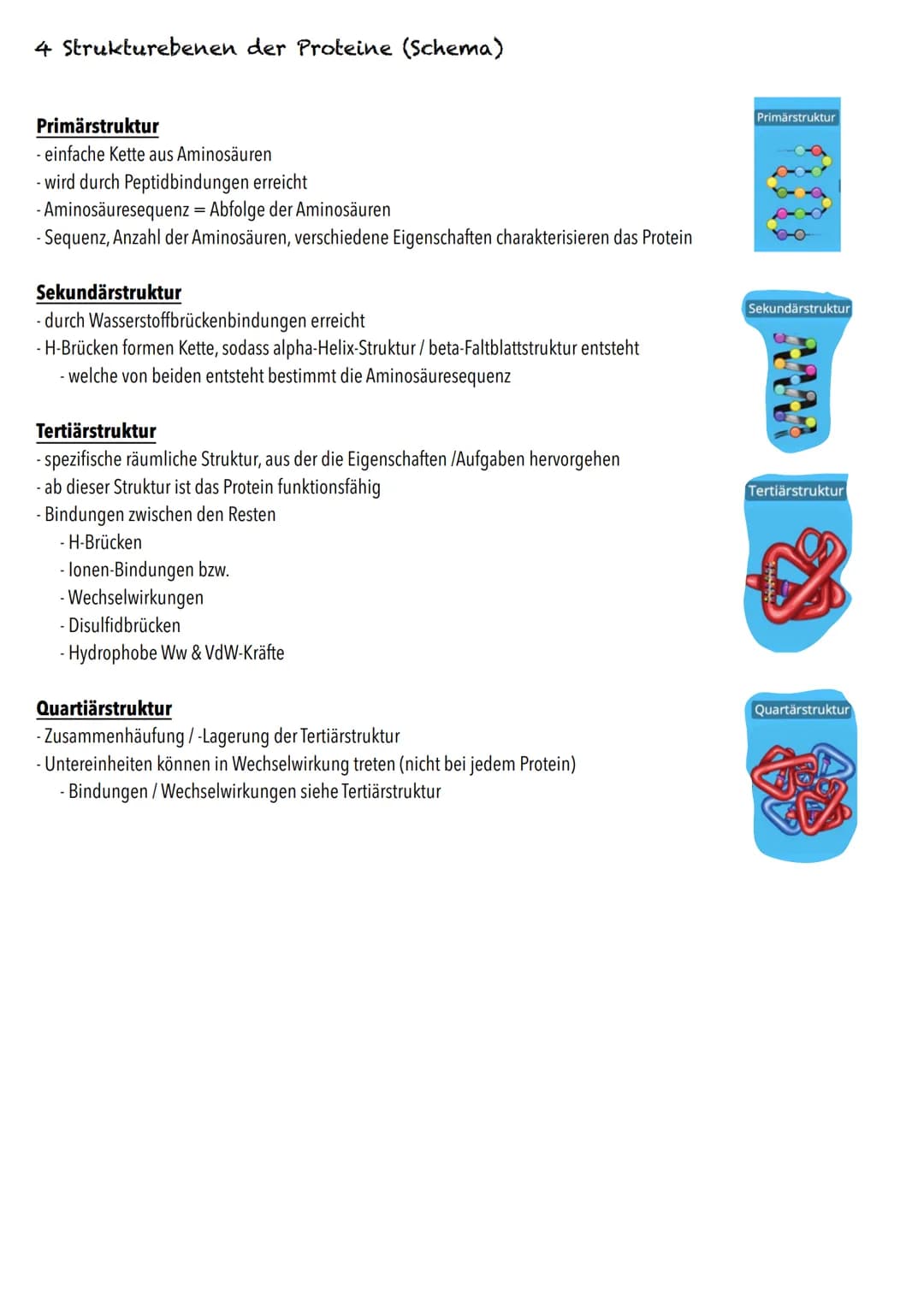 Q1
Genetik BIOLOGY Abitur Checkliste - Themenübersicht
Von der DNA zum Protein
Aufbau und Replikation der DNA: Watson-Crick-Modell (Schema),