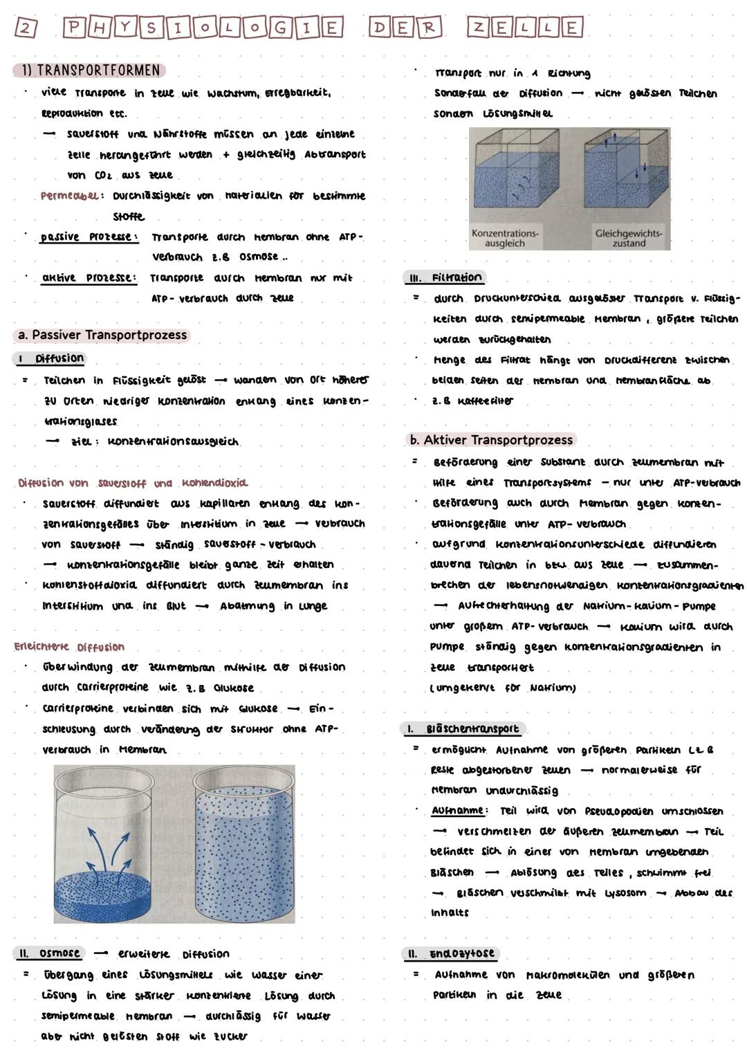 Zusammenfassung Klausur Zytologie
ZELLE
1
ANATOMIE
1) ALLGEMEINER AUFBAU DER ZELLE
Zell kern
Zytoplasma
organeuen-
zellmembran - Abgrenzung 