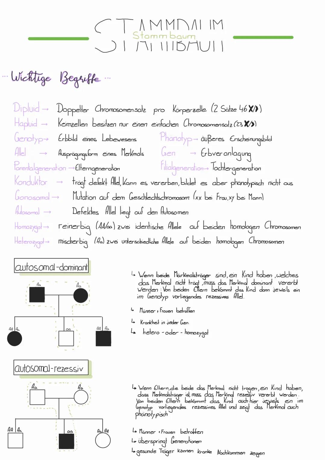 Wichtige Begriffe...
Dipluid Doppelter Chromosomensatz pro Körperzelle (2 Sätze 46X)
Hapluid → Keimzellen besitzen nur einen einfachen Chrom