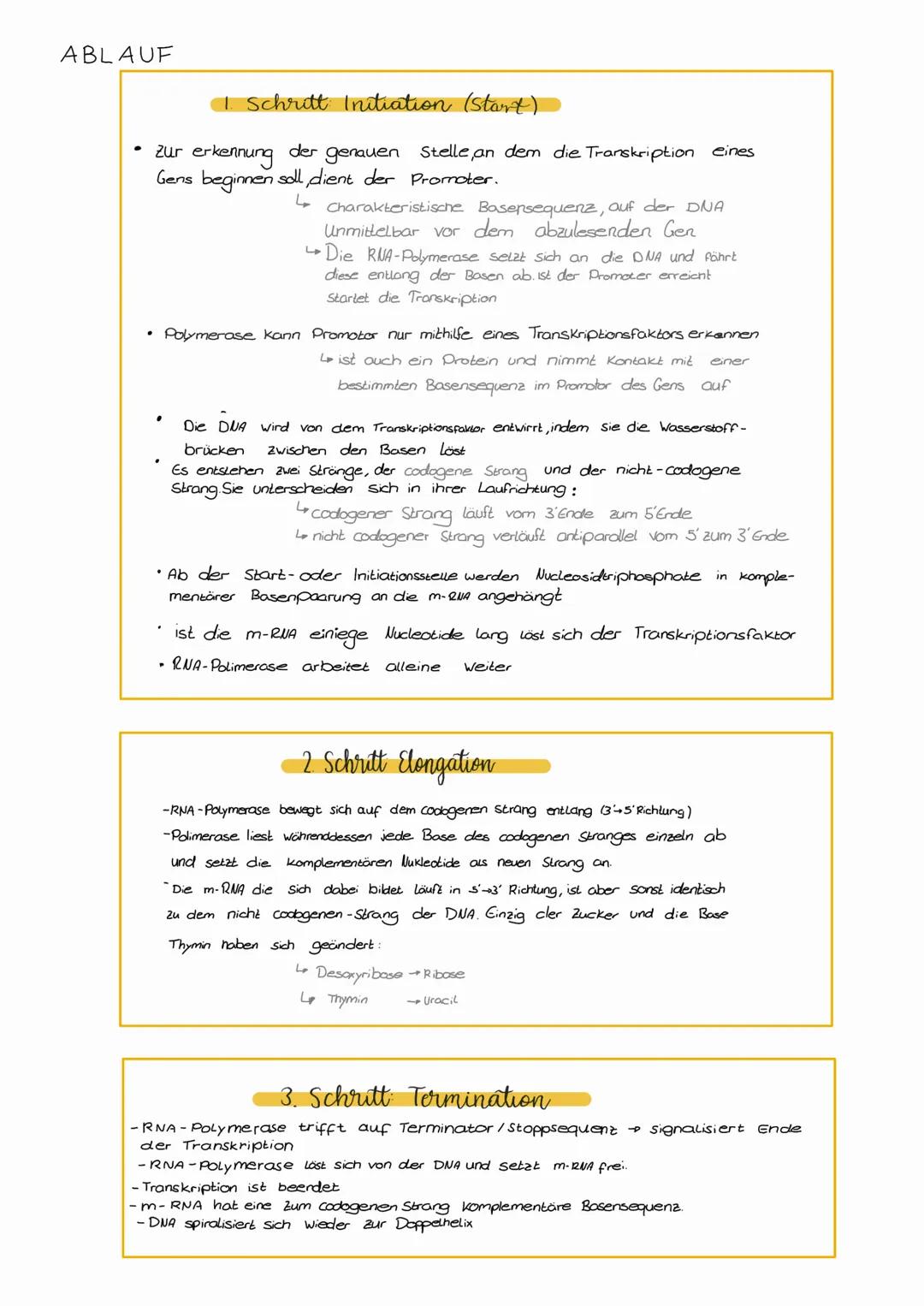 Wichtige Begriffe...
Dipluid Doppelter Chromosomensatz pro Körperzelle (2 Sätze 46X)
Hapluid → Keimzellen besitzen nur einen einfachen Chrom