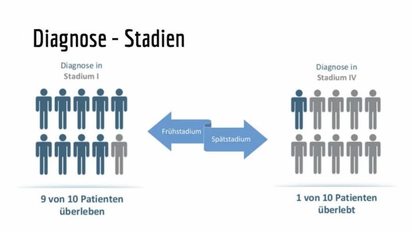 Chemotherapy
-die zweithäufigste Todesursache in Deutschland-
Mechaniche
Tumor
305
Methoden
Operation
Chemische
accuracy and diversity of mo