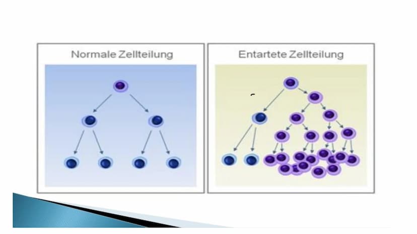 Chemotherapy
-die zweithäufigste Todesursache in Deutschland-
Mechaniche
Tumor
305
Methoden
Operation
Chemische
accuracy and diversity of mo
