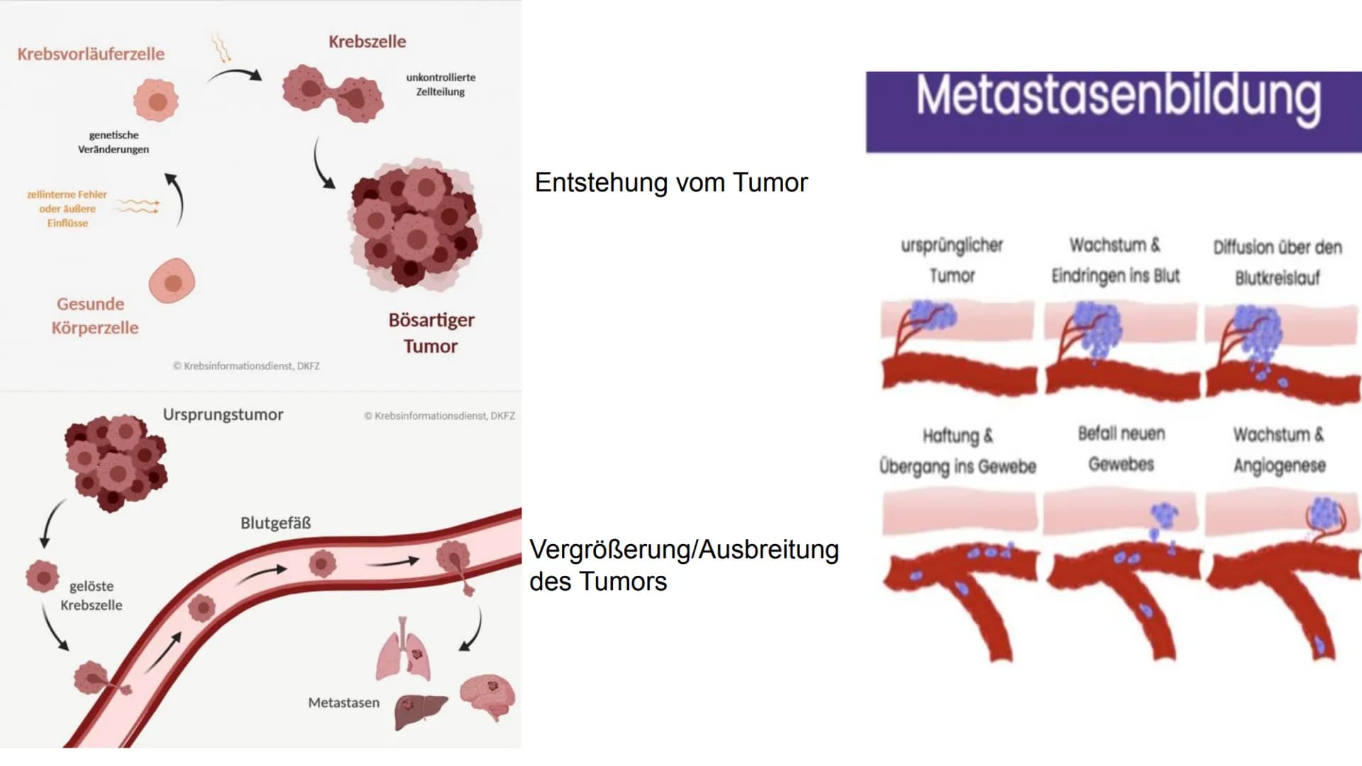 Chemotherapy
-die zweithäufigste Todesursache in Deutschland-
Mechaniche
Tumor
305
Methoden
Operation
Chemische
accuracy and diversity of mo