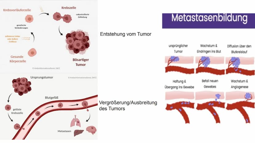 Chemotherapy
-die zweithäufigste Todesursache in Deutschland-
Mechaniche
Tumor
305
Methoden
Operation
Chemische
accuracy and diversity of mo