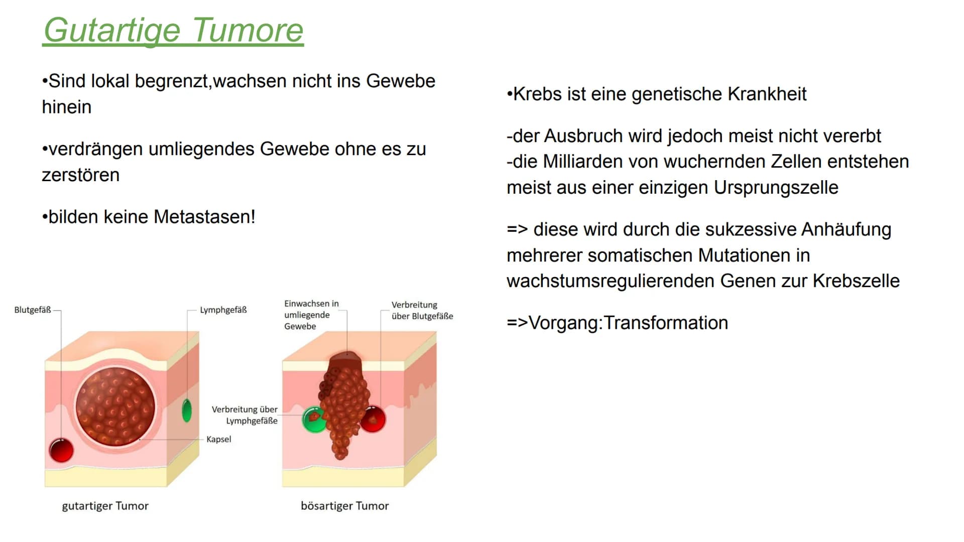 Chemotherapy
-die zweithäufigste Todesursache in Deutschland-
Mechaniche
Tumor
305
Methoden
Operation
Chemische
accuracy and diversity of mo