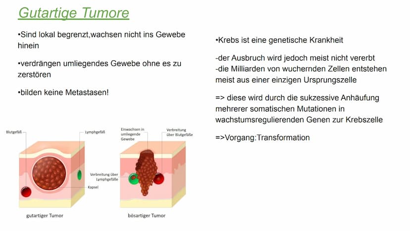 Chemotherapy
-die zweithäufigste Todesursache in Deutschland-
Mechaniche
Tumor
305
Methoden
Operation
Chemische
accuracy and diversity of mo