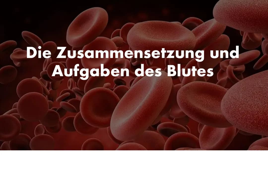 Blut: Zusammensetzung und Aufgaben