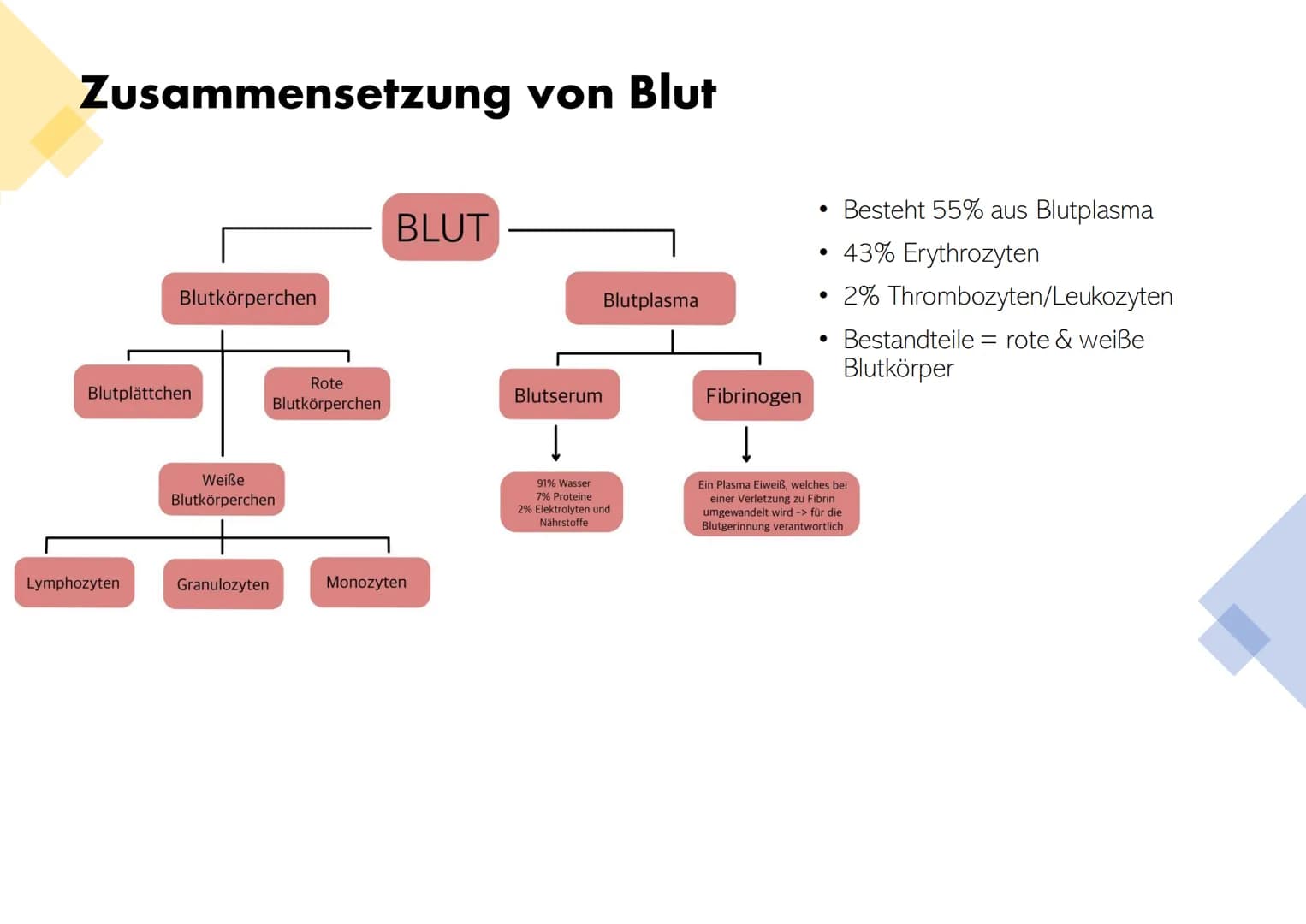 Die Zusammensetzung und
Aufgaben des Blutes Gliederung
• Was ist eigentlich Blut?
Zusammensetzungen & Aufgaben von Blut
•
•
- Blutplasma
- E