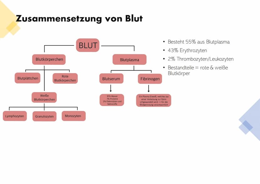 Die Zusammensetzung und
Aufgaben des Blutes Gliederung
• Was ist eigentlich Blut?
Zusammensetzungen & Aufgaben von Blut
•
•
- Blutplasma
- E