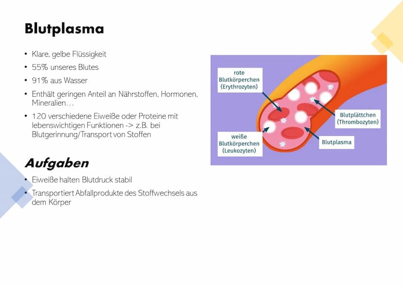 Die Zusammensetzung und
Aufgaben des Blutes Gliederung
• Was ist eigentlich Blut?
Zusammensetzungen & Aufgaben von Blut
•
•
- Blutplasma
- E
