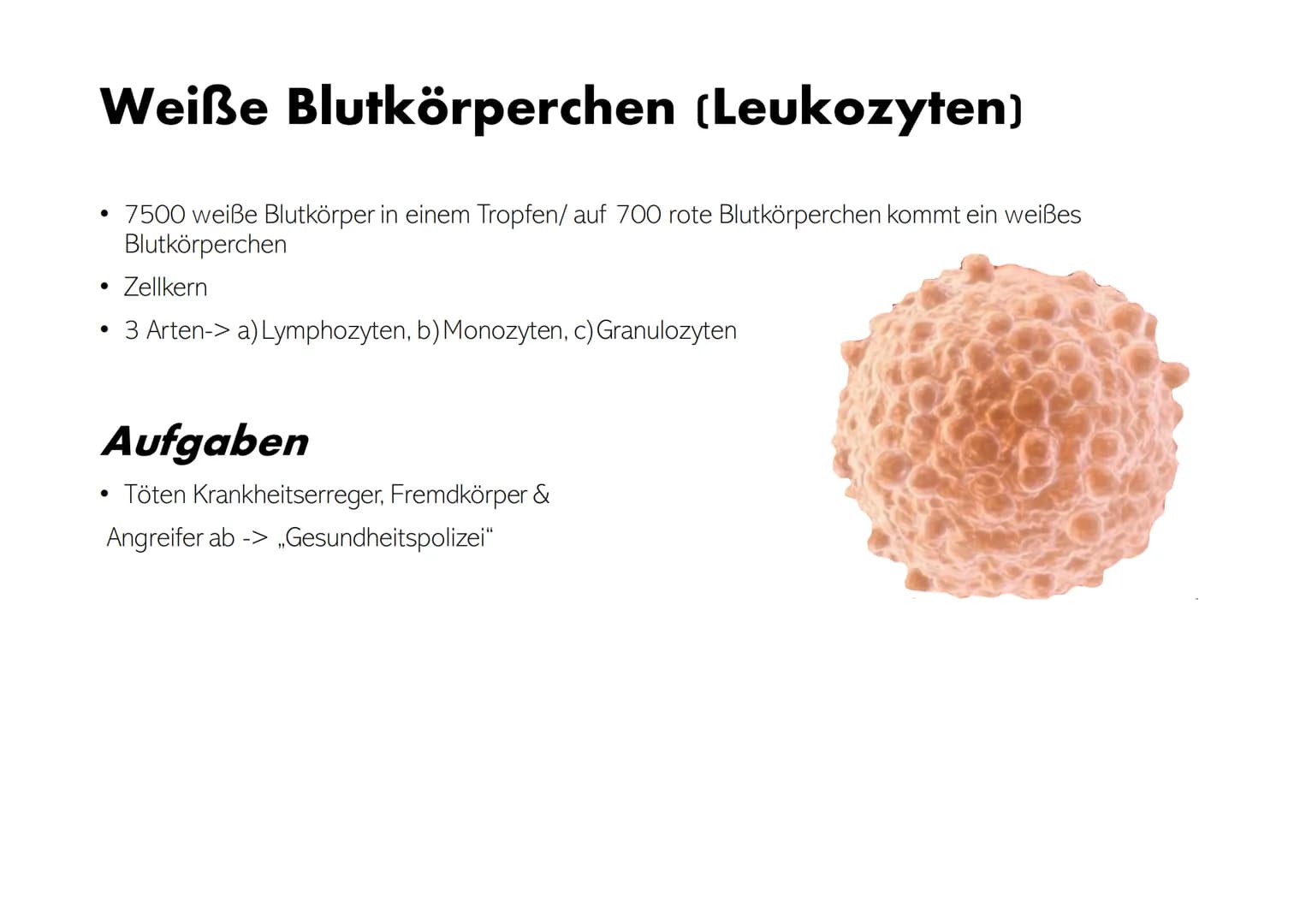 Die Zusammensetzung und
Aufgaben des Blutes Gliederung
• Was ist eigentlich Blut?
Zusammensetzungen & Aufgaben von Blut
•
•
- Blutplasma
- E