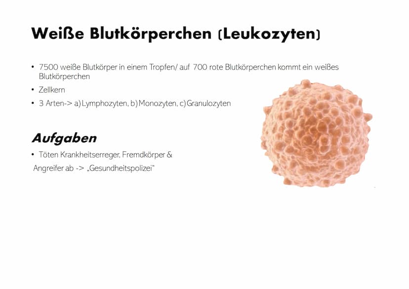 Die Zusammensetzung und
Aufgaben des Blutes Gliederung
• Was ist eigentlich Blut?
Zusammensetzungen & Aufgaben von Blut
•
•
- Blutplasma
- E