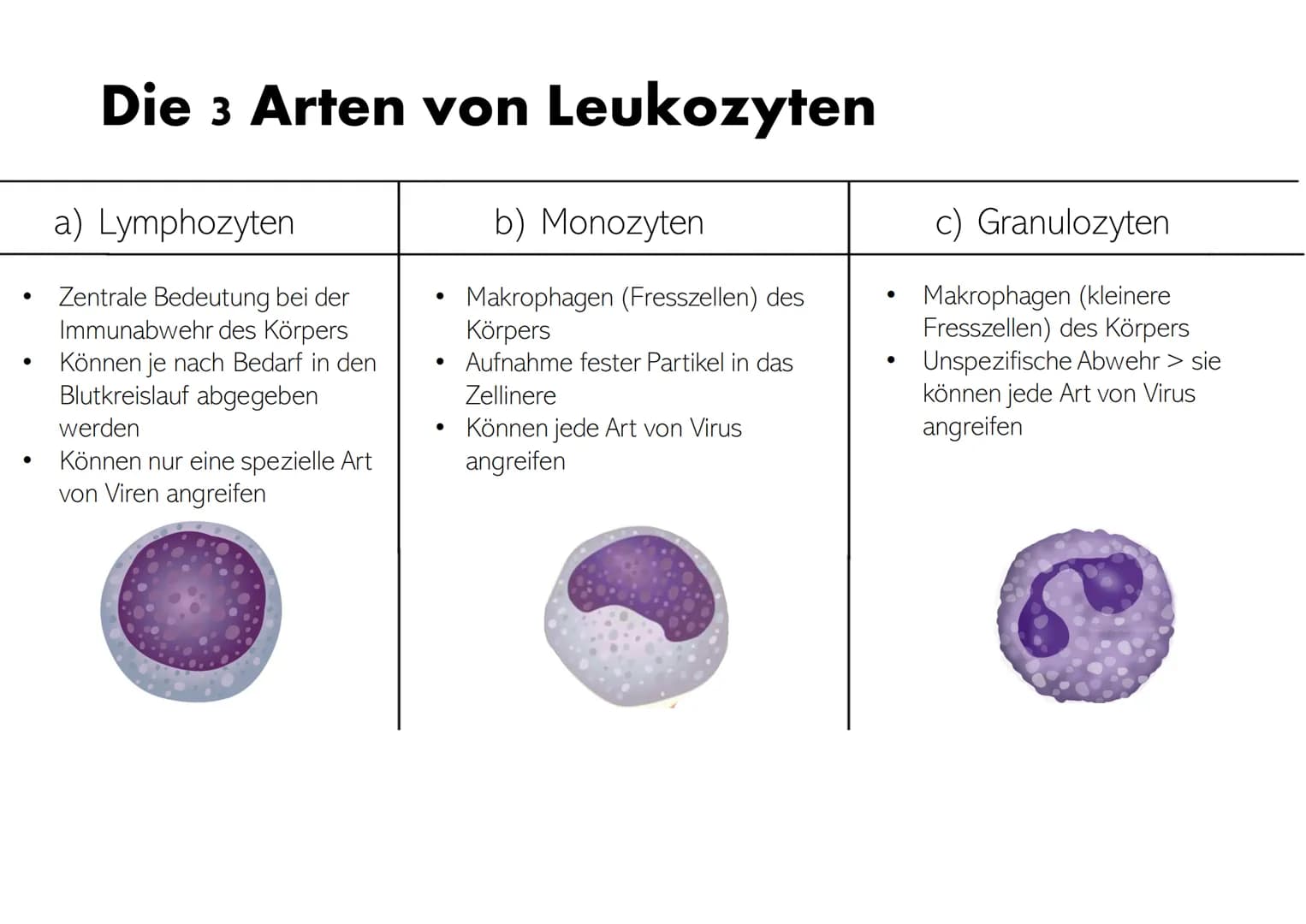 Die Zusammensetzung und
Aufgaben des Blutes Gliederung
• Was ist eigentlich Blut?
Zusammensetzungen & Aufgaben von Blut
•
•
- Blutplasma
- E