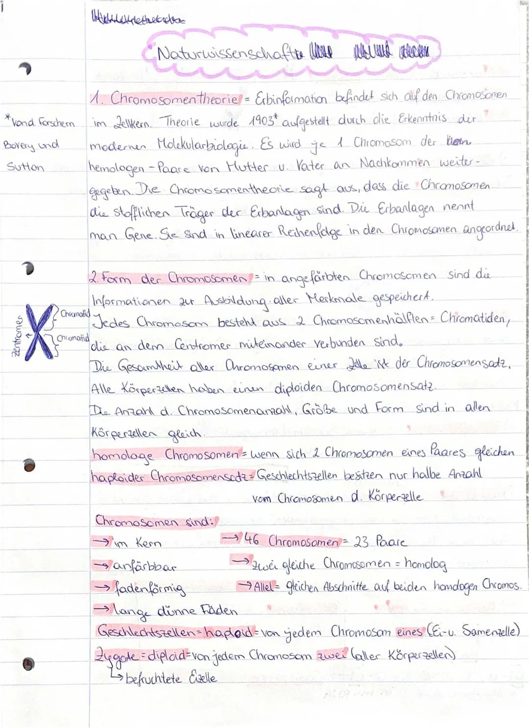 Chromosomentheorie