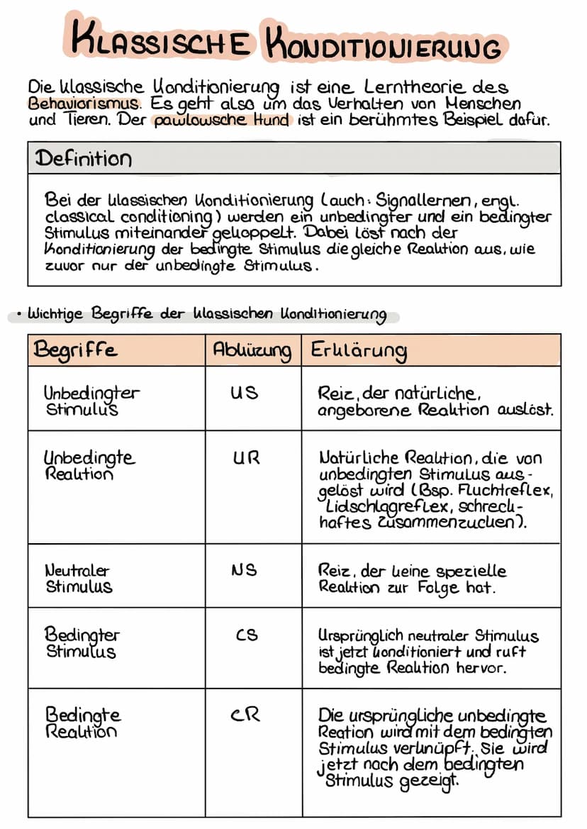 KLASSISCHE KONDITIONIERUNG
Drei Phasen der klassischen Konditionierung
Die klassische Konditionierung Läuft in drei Phase ab:
->>
• Phase vo