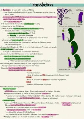 Know Translation thumbnail
