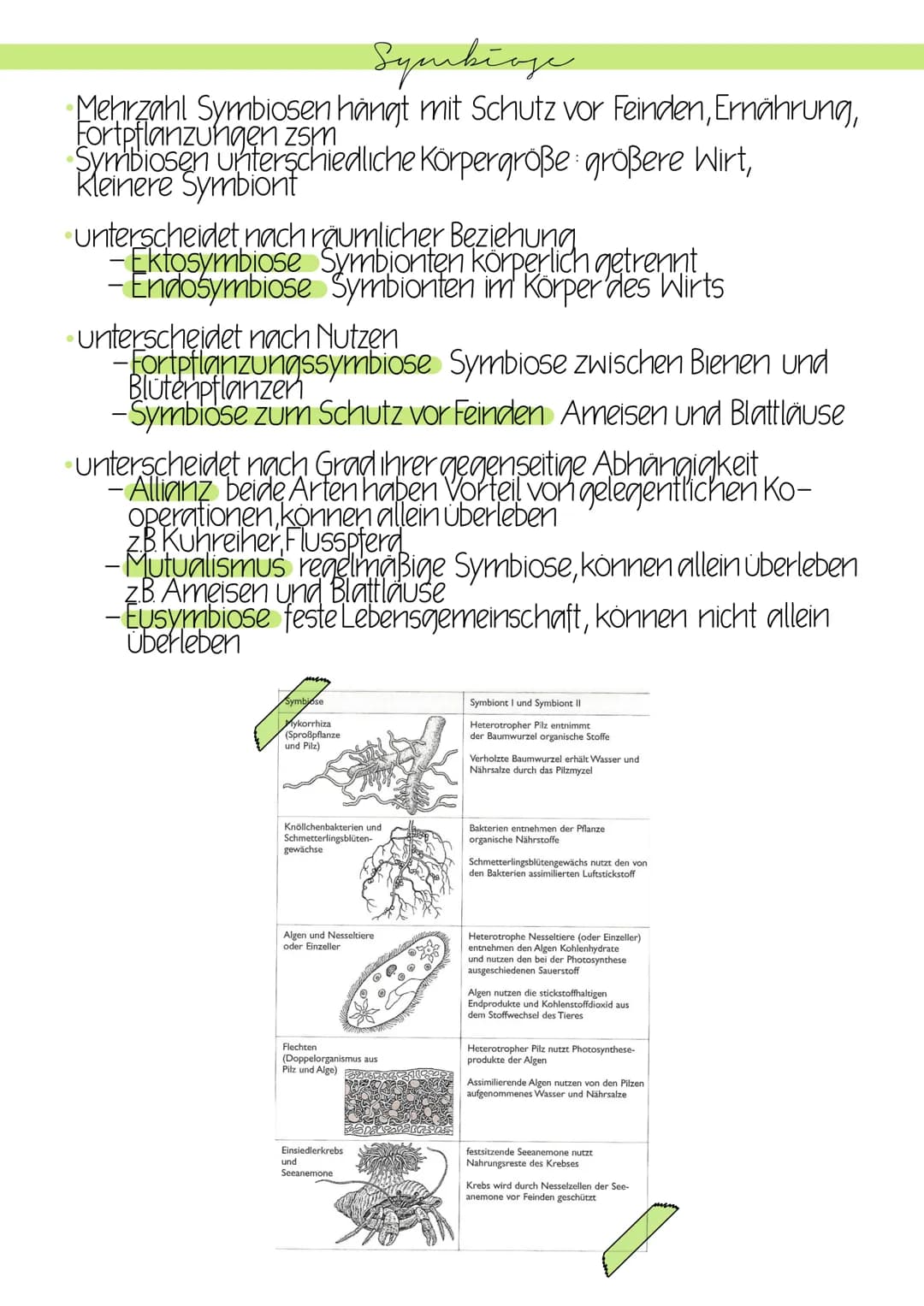 Beziehungen in Biozönosen
Erfolg und Uberleben einer Art nicht nur von abiotischen Faktoren
auch biotischen Faktoren (andere Lebewesen)
biot