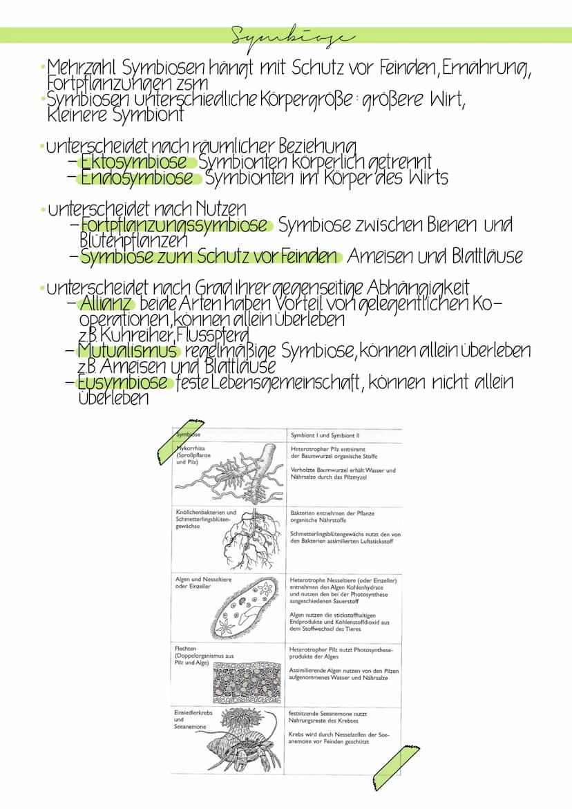 Beziehungen in Biozönosen
Erfolg und Uberleben einer Art nicht nur von abiotischen Faktoren
auch biotischen Faktoren (andere Lebewesen)
biot
