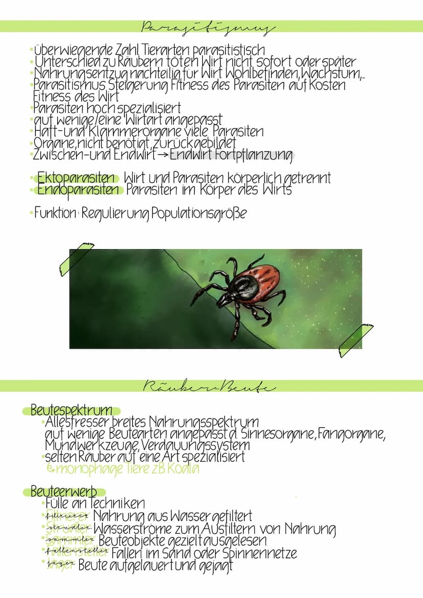 Beziehungen in Biozönosen
Erfolg und Uberleben einer Art nicht nur von abiotischen Faktoren
auch biotischen Faktoren (andere Lebewesen)
biot