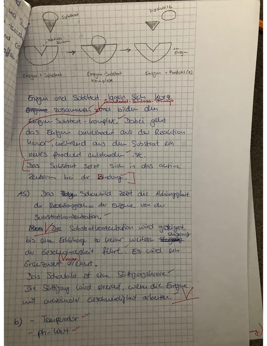 16) a)
A
Substrate
kompetitive Hercumong:
Substat
Hemmstoff
च
aktives
zentrum
allostorische Hemmung:
Enzym
aktives
zuluy
→
^ allosterisches 