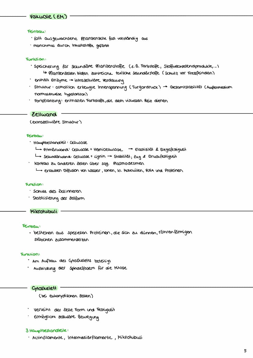 Cytologie
1.1 Mikroskopie
1.1.1 Lichtmikroskop
Okular: vergrößerde
Linse
Tubus: hält Okular
Stativ: verbindung aller
Teile & Stabilität
Trie