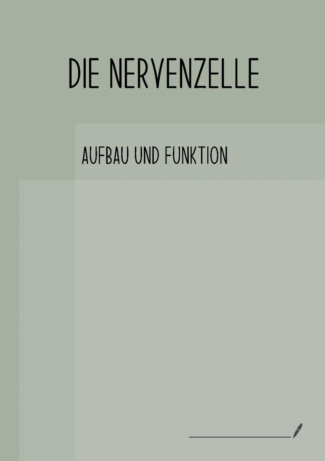 Nervenzelle: Aufbau, Funktion und Aktionspotential einfach erklärt