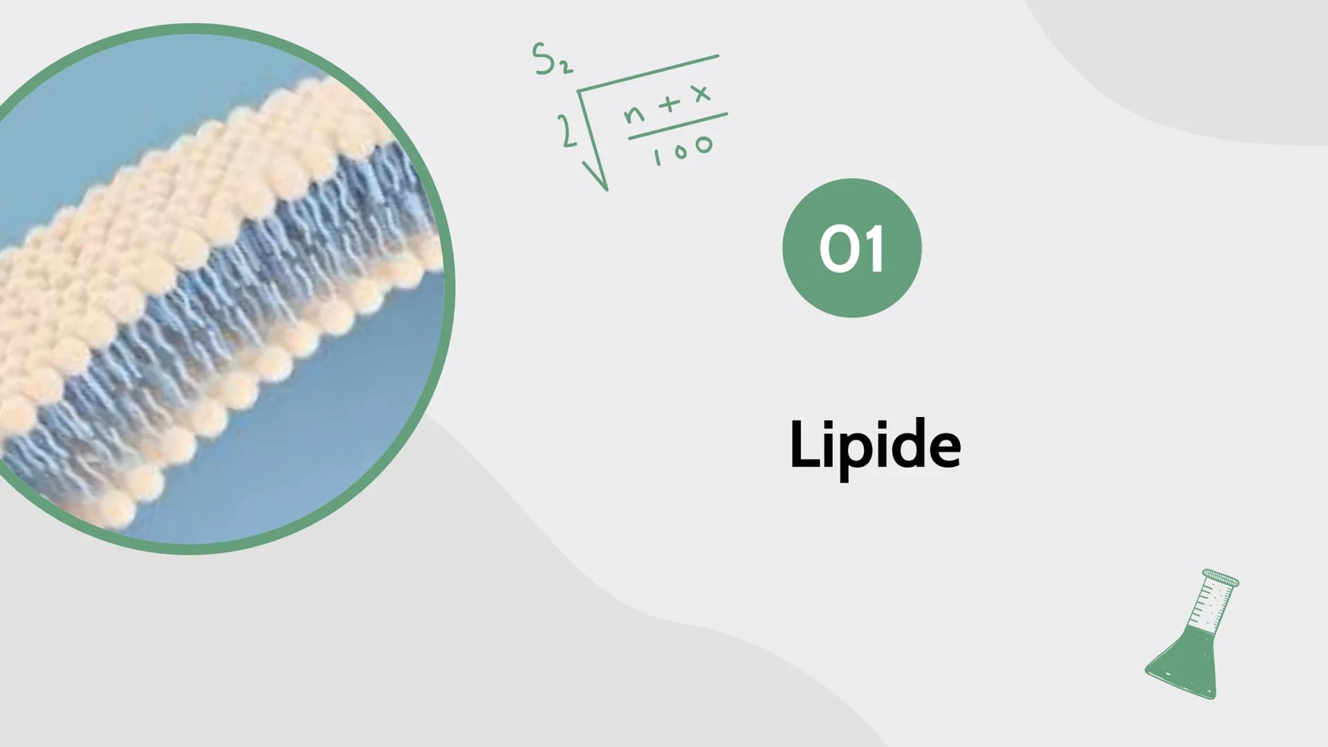 D
B
C
K
Lipide
von Maja, Sarah, Carla, Johanna und Assia
$A+B=C$ A+B=C

# Inhalt

01

# Lipide

- Was ist das?
- Verschiedene Arten
- gesätt