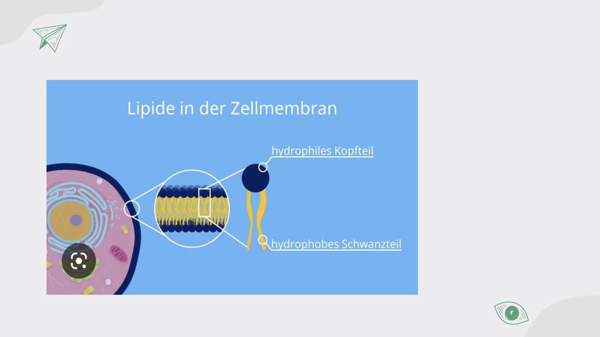 D
B
C
K
Lipide
von Maja, Sarah, Carla, Johanna und Assia
$A+B=C$ A+B=C

# Inhalt

01

# Lipide

- Was ist das?
- Verschiedene Arten
- gesätt