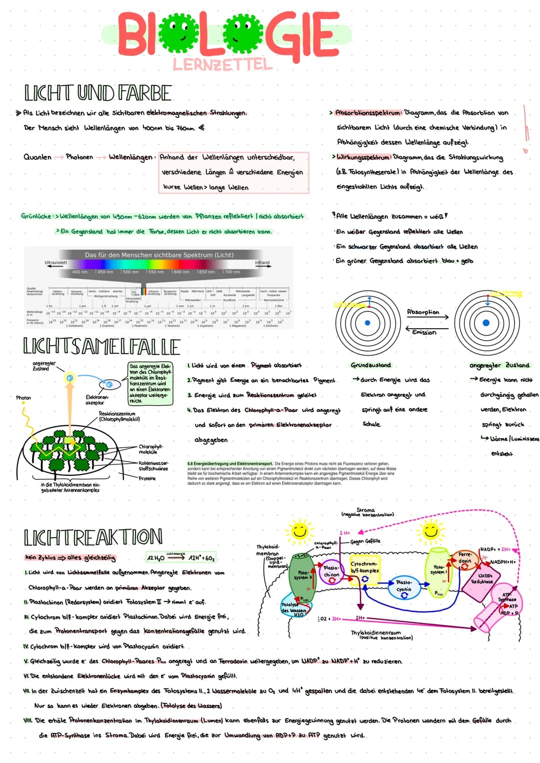 LICHT UND FARBE
Als Licht bezeichnen wir alle Sichtbaren elektromagnetischen Strahlungen..
Der Mensch sieht Wellenlängen von 400mm bis 760mm