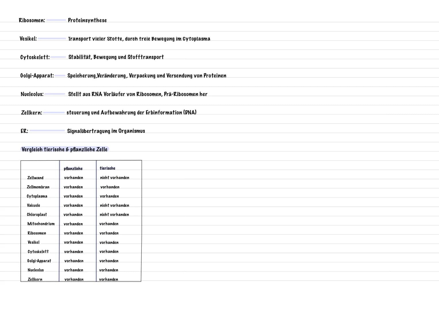 PFLANZENZELLE
Zellmembran
Chloroplast
ER
Zellkern
Nucleolus
Zellwand:
Vakuole:
Zellmembran:
Funktionen der Zellbestandteile
Cytoplasma:
Chlo