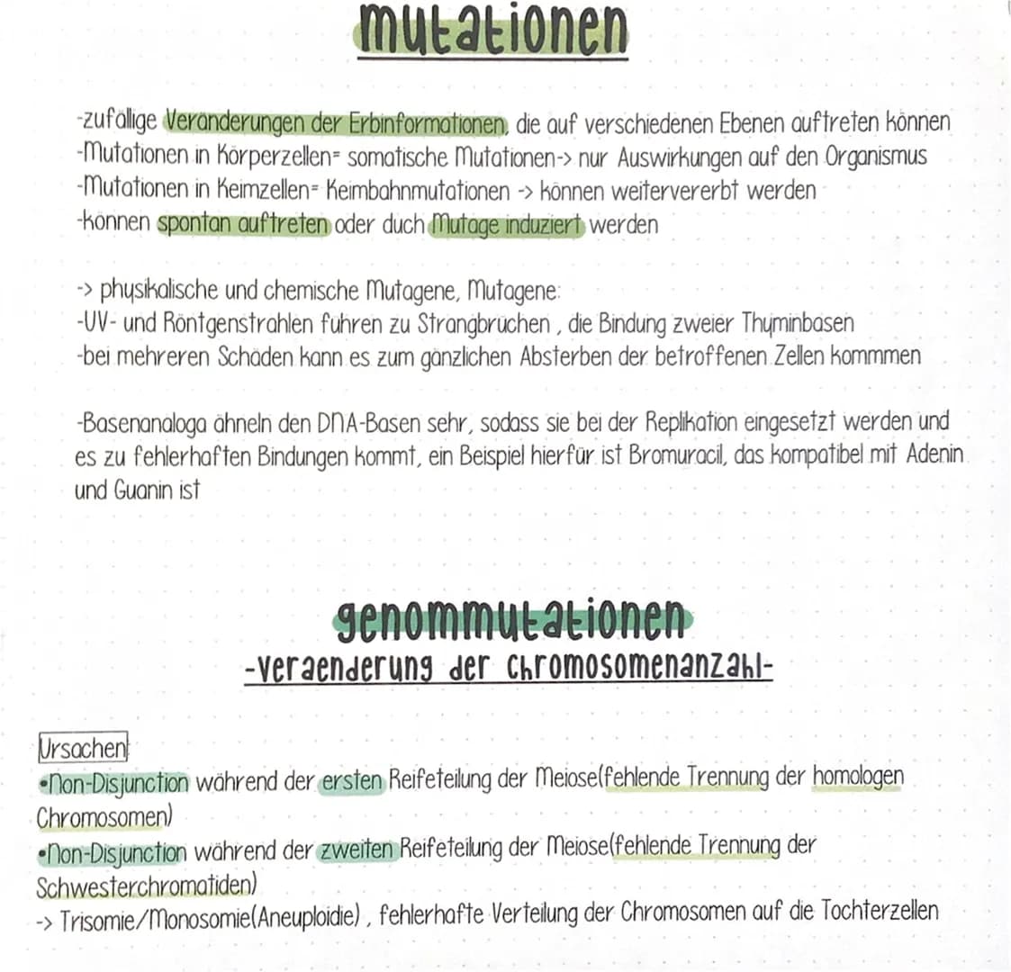 mutationen
-zufällige Veränderungen der Erbinformationen, die auf verschiedenen Ebenen auftreten können
-Mutationen in Körperzellen- somatis