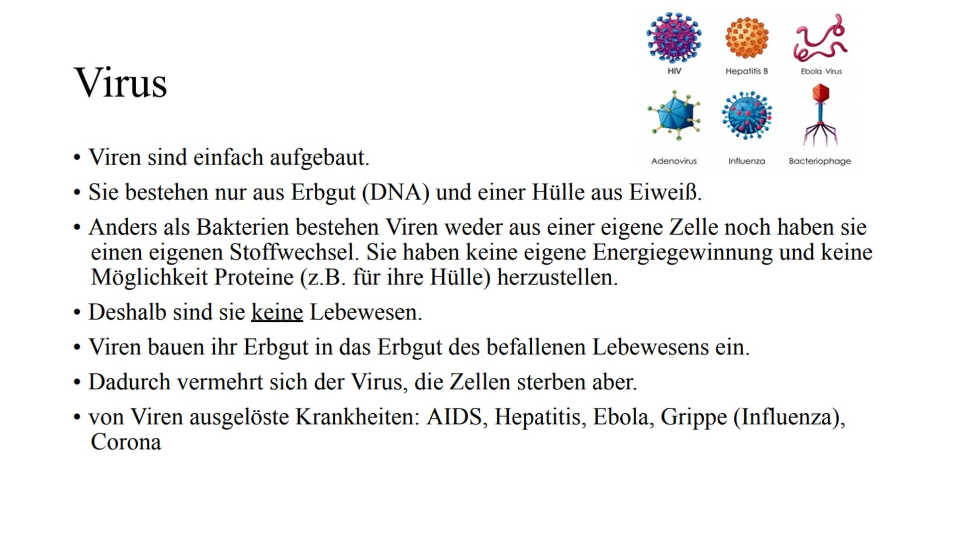 Das Immunsystem Das
Immunsystem
ist das körpereigene, individuelle Abwehrsystem gegen schädlichen
Krankheitserreger
Der Begriff des 'Immunsy