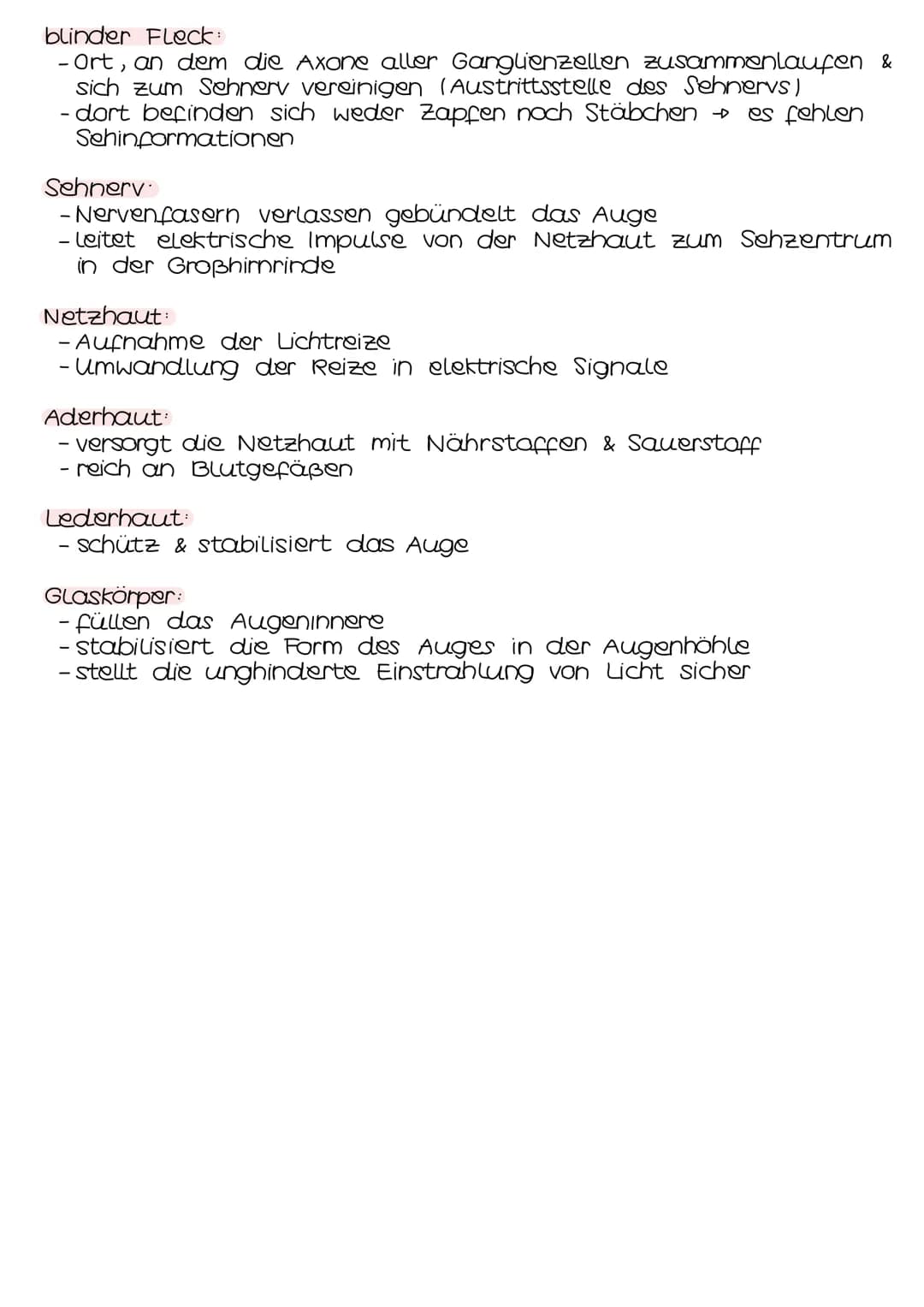 Neurobio-
logie AUFBAU DES AUGES
Linsenbänder
(zanulafasern)
Linse
vordere
Augenkammer
Pupille
4-64mm ²
Kornea
(Hornhaut)
Iris
hintere
Augen