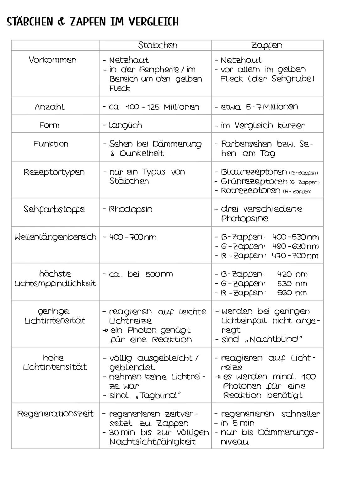 Neurobio-
logie AUFBAU DES AUGES
Linsenbänder
(zanulafasern)
Linse
vordere
Augenkammer
Pupille
4-64mm ²
Kornea
(Hornhaut)
Iris
hintere
Augen