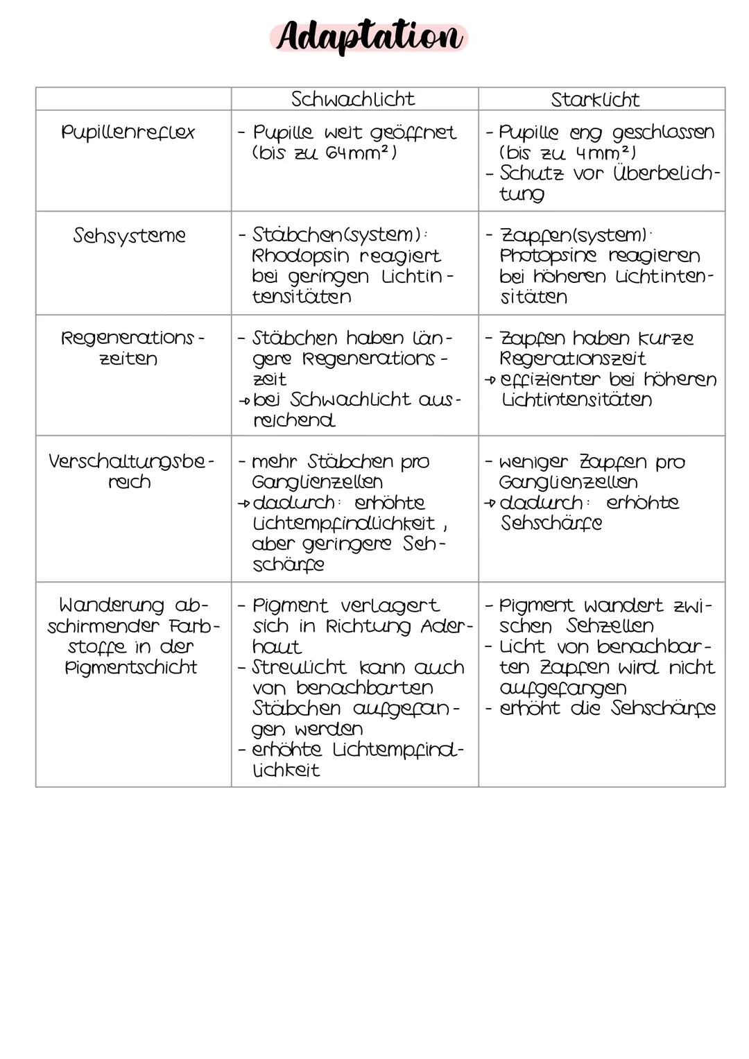 Neurobio-
logie AUFBAU DES AUGES
Linsenbänder
(zanulafasern)
Linse
vordere
Augenkammer
Pupille
4-64mm ²
Kornea
(Hornhaut)
Iris
hintere
Augen