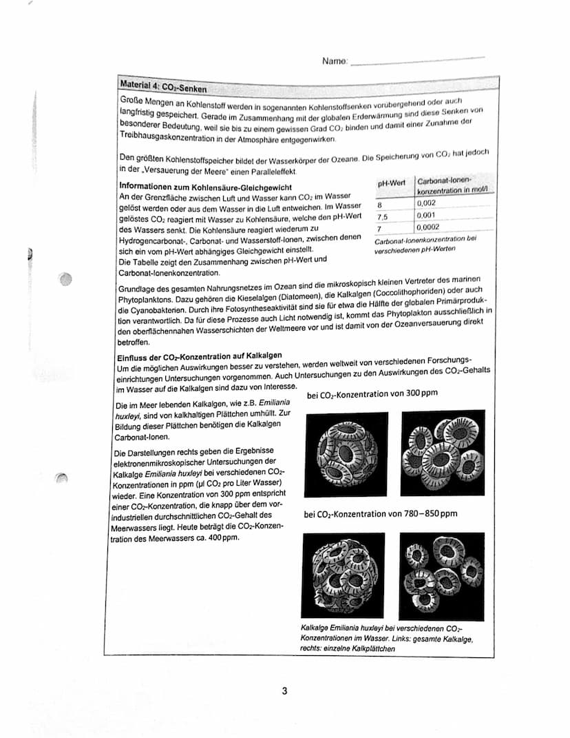 Bio Q1.2 GK
Aufgabe 1
Der Schüler/ Die Schülerin.
2. Klausur
Name:
1.1 benennt die Bestandteile des Energieflussdiagramms:
Lichtenergie (1),
