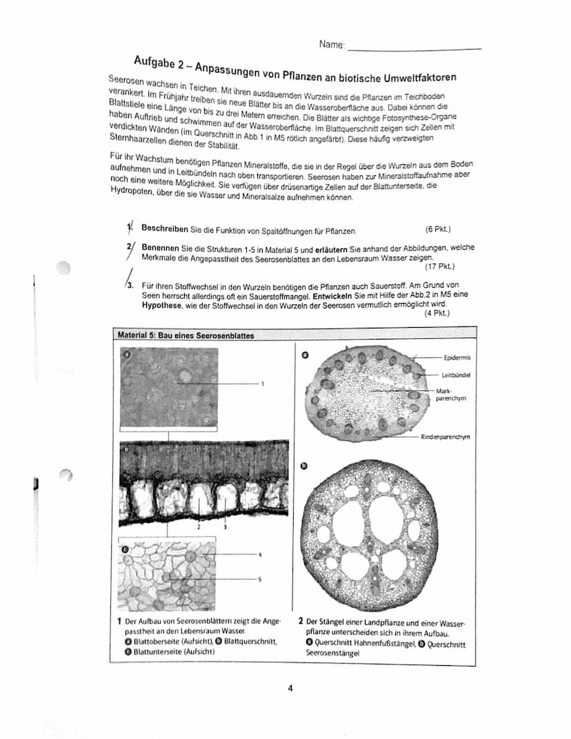Bio Q1.2 GK
Aufgabe 1
Der Schüler/ Die Schülerin.
2. Klausur
Name:
1.1 benennt die Bestandteile des Energieflussdiagramms:
Lichtenergie (1),