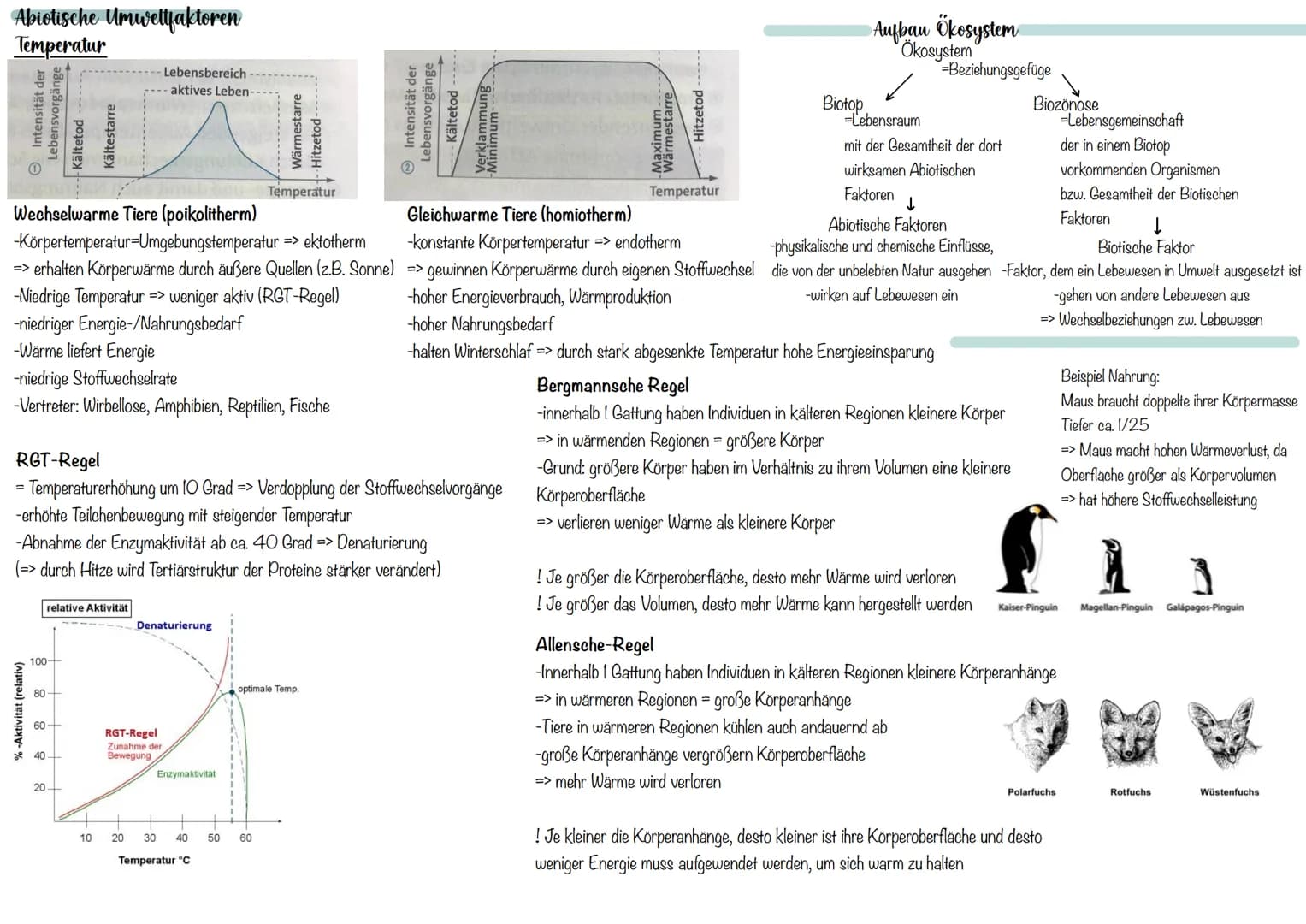 Abiotische Umweltfaktoren
Temperatur
Intensität der
Lebensvorgänge
% -Aktivität (relativ)
Wechselwarme Tiere (poikolitherm)
-Körpertemperatu