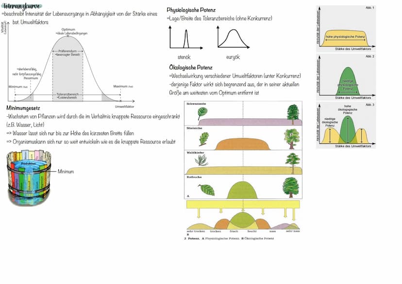 Abiotische Umweltfaktoren
Temperatur
Intensität der
Lebensvorgänge
% -Aktivität (relativ)
Wechselwarme Tiere (poikolitherm)
-Körpertemperatu