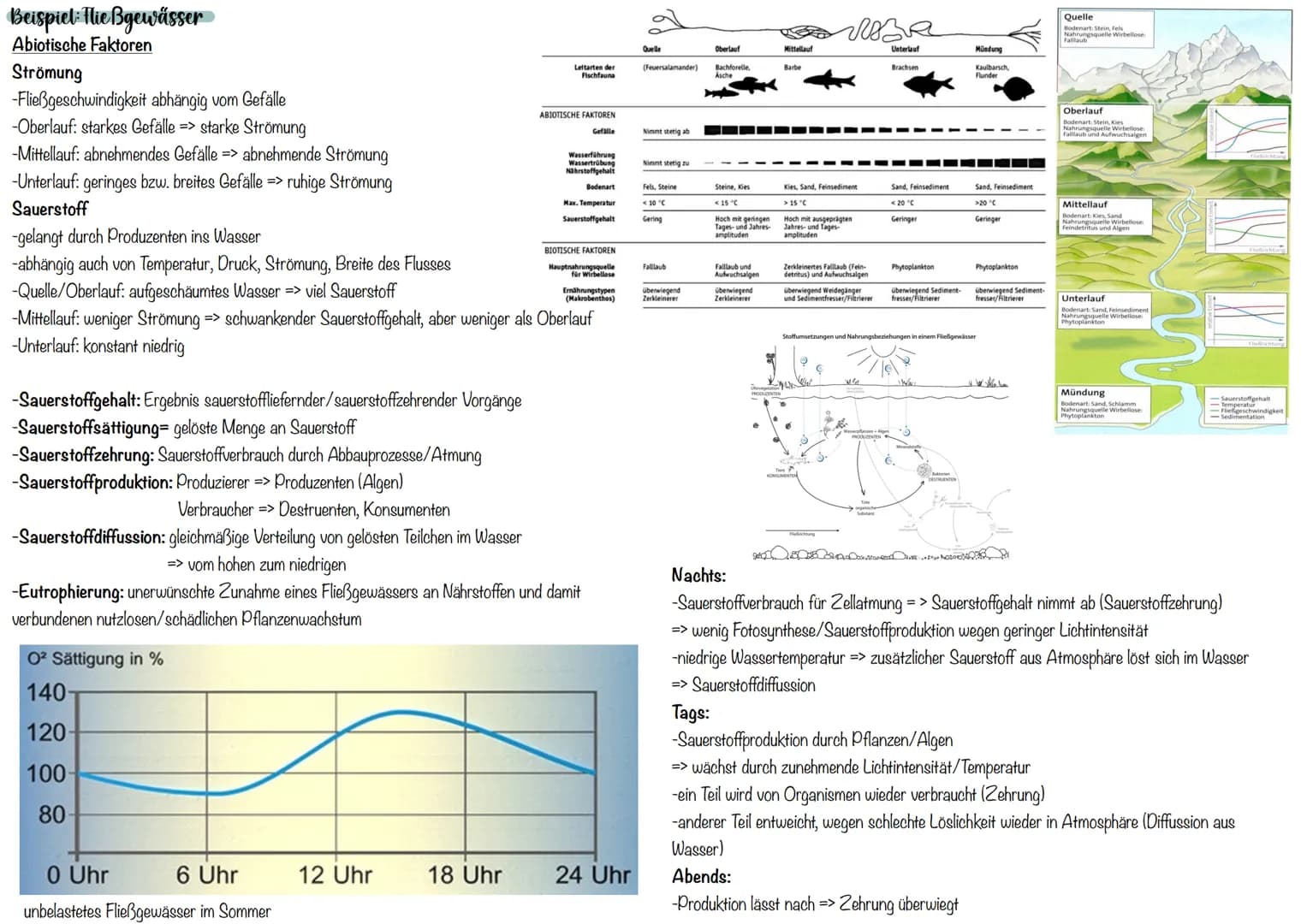 Abiotische Umweltfaktoren
Temperatur
Intensität der
Lebensvorgänge
% -Aktivität (relativ)
Wechselwarme Tiere (poikolitherm)
-Körpertemperatu