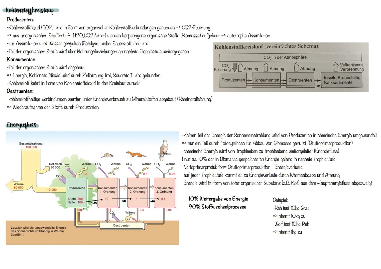 Abiotische Umweltfaktoren
Temperatur
Intensität der
Lebensvorgänge
% -Aktivität (relativ)
Wechselwarme Tiere (poikolitherm)
-Körpertemperatu