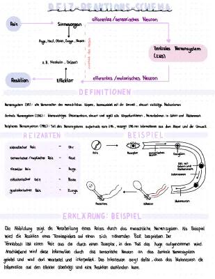 Know Neurobiologie  thumbnail