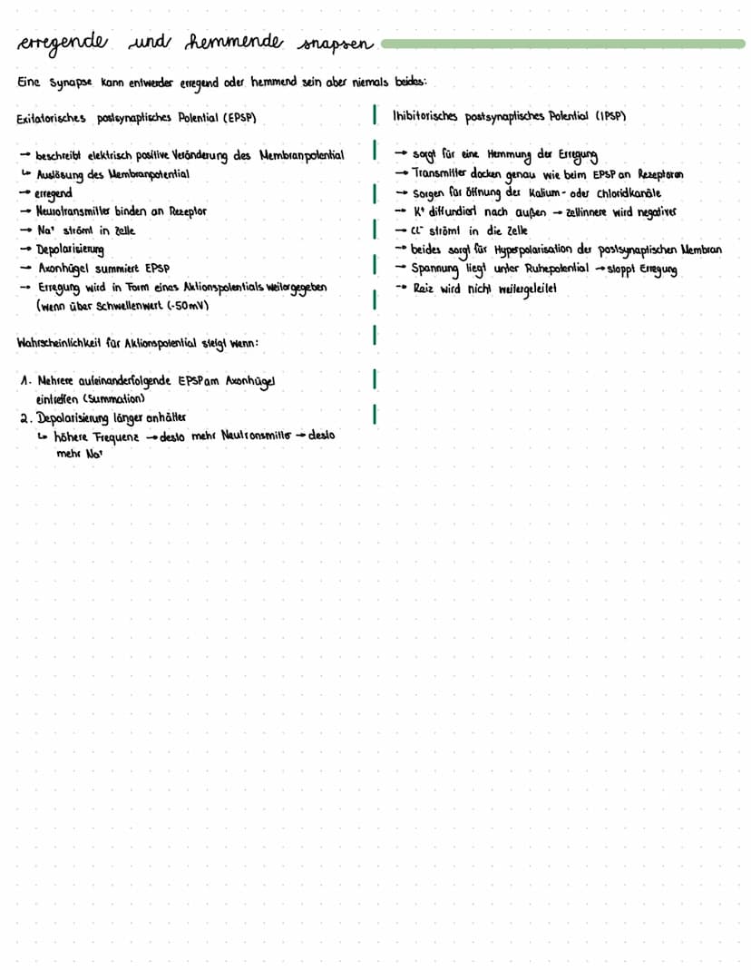 Reiz
Reaktion
akkustischer Reiz
Visueller Reie
olfaktorischer
Petz-ReaktIONS SCHEMA
affarentes/sensorisches Neuron
·Auge, Haul, Ohren, Zunge