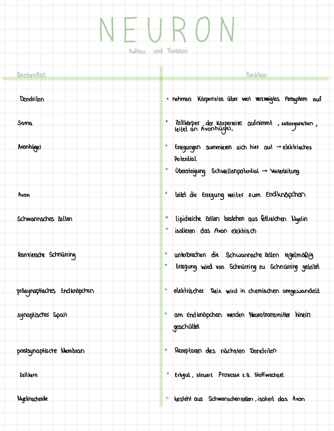 Reiz
Reaktion
akkustischer Reiz
Visueller Reie
olfaktorischer
Petz-ReaktIONS SCHEMA
affarentes/sensorisches Neuron
·Auge, Haul, Ohren, Zunge