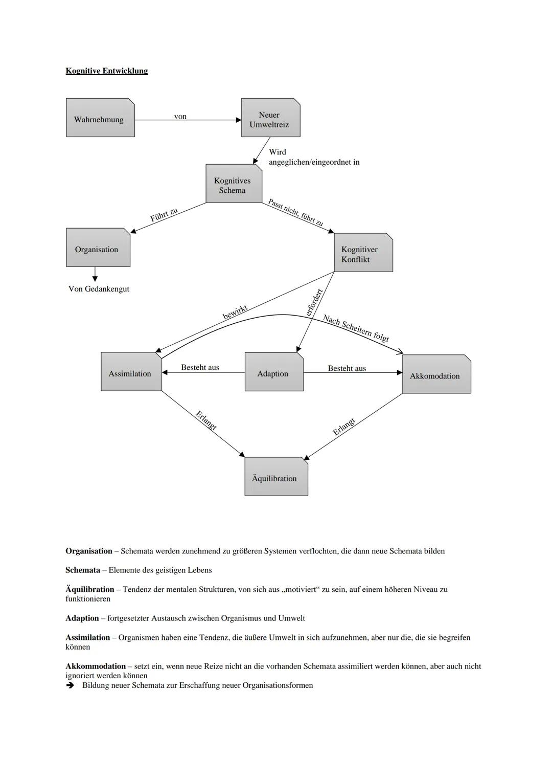 Stufenmodell:
Sensomotorische Stufe
Alter: 0-2 (Säuglingsalter)
Sensomotorische
Fähigkeiten werden
ausgebaut und verfeinert
➜Erste Interakti
