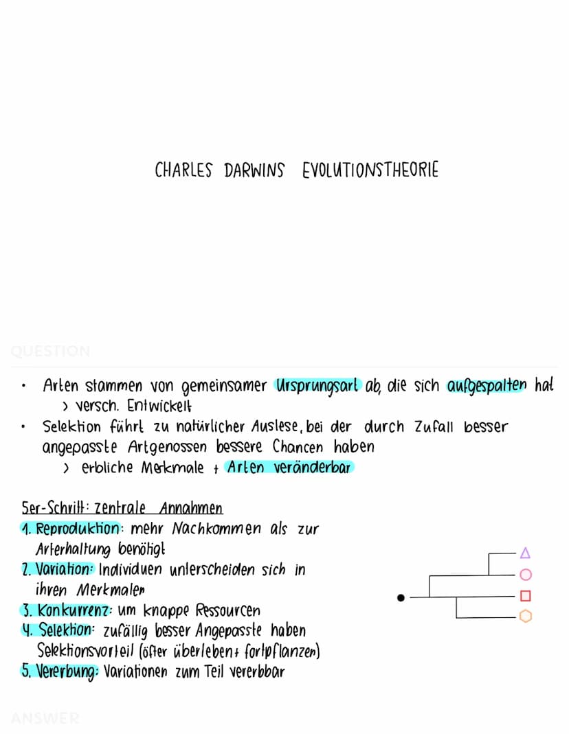 QUESTION
BIOLOGISCHER ARTBEGRIFF
Eine Art ist eine Gruppe von Lebewesen, die sich in der Natur
miteinander kreuzen und lebensfähige + frucht