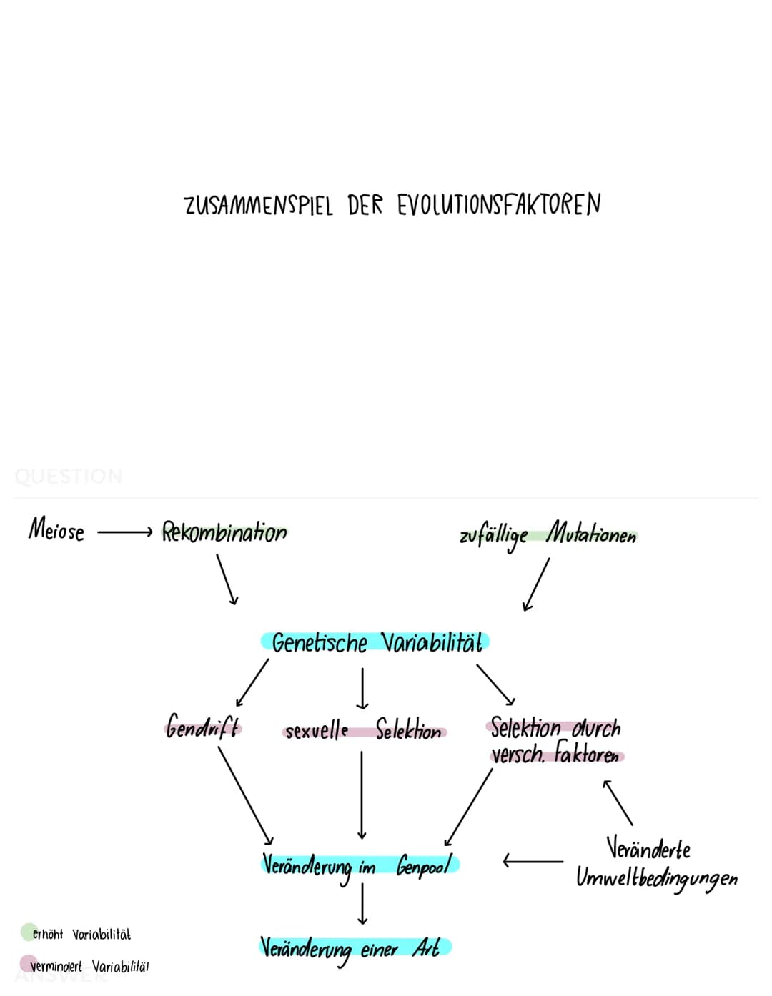 QUESTION
BIOLOGISCHER ARTBEGRIFF
Eine Art ist eine Gruppe von Lebewesen, die sich in der Natur
miteinander kreuzen und lebensfähige + frucht